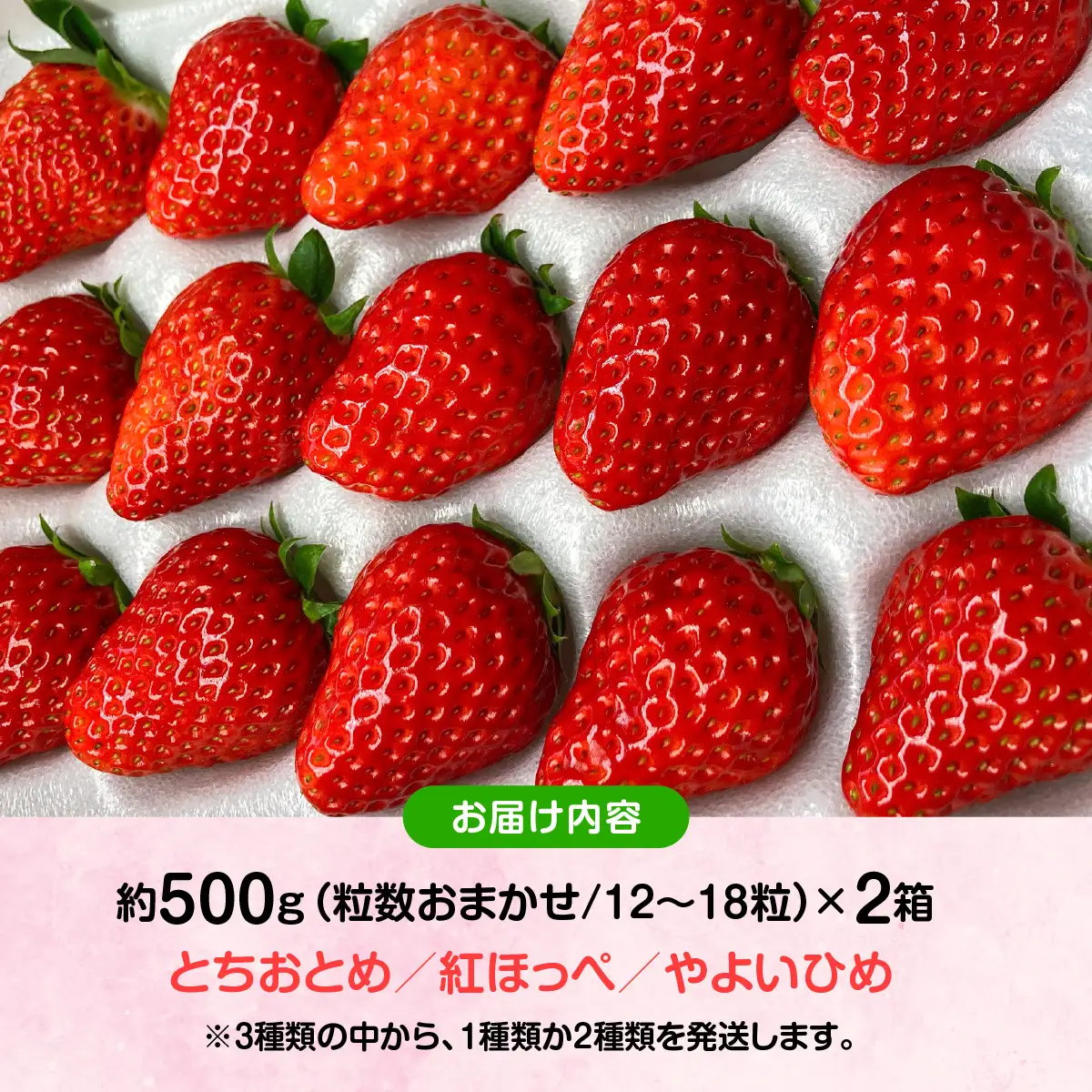 【先行予約・2027年1月～発送】農家直送！窪原さんちのこだわり極上、完熟いちご　（とちおとめ、紅ほっぺ、やよいひめのいずれかを約１㎏） SMDH001