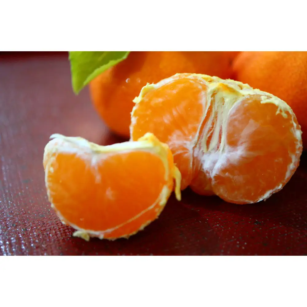 【瀬戸内マルシェが選ぶ】ハウスさぬき紅みかん　小粒１kg（2027年６月中旬より発送）
