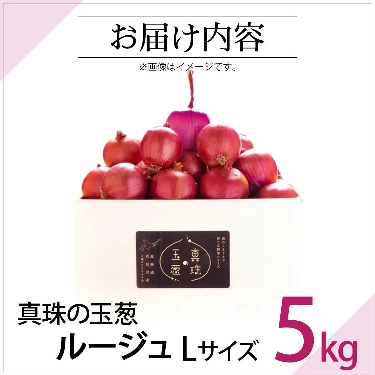真珠の玉葱 ルージュ Lサイズ 5kg ＜海のミネラルで育てた赤玉葱＞｜玉ねぎ たまねぎ タマネギ 北海道産 岩見沢市【a134-011】