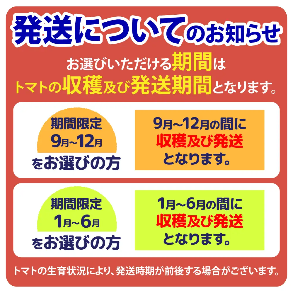 【9月～12月】トマト 大玉 約4kg | トマト 大玉トマト 4kg 国産 いわき市産 産地直送 肉厚 ジューシー 甘い 甘み 酸味 野菜 サラダ 料理 クッキング トマト料理 大玉 大容量 いわき市 | CM004-09-12