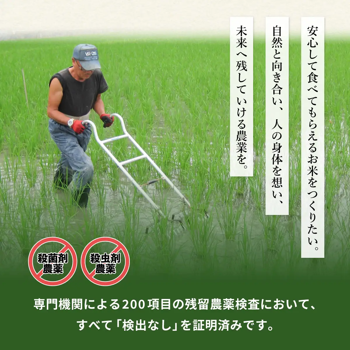 【定期便】新米 玄米 10kg×12回（合計120kg） 健方米 アキサカリ 漢方栽培