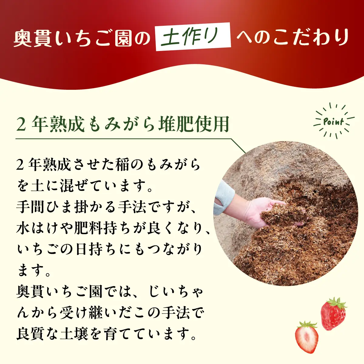 いちご あまりん 260g×2パック 先行予約