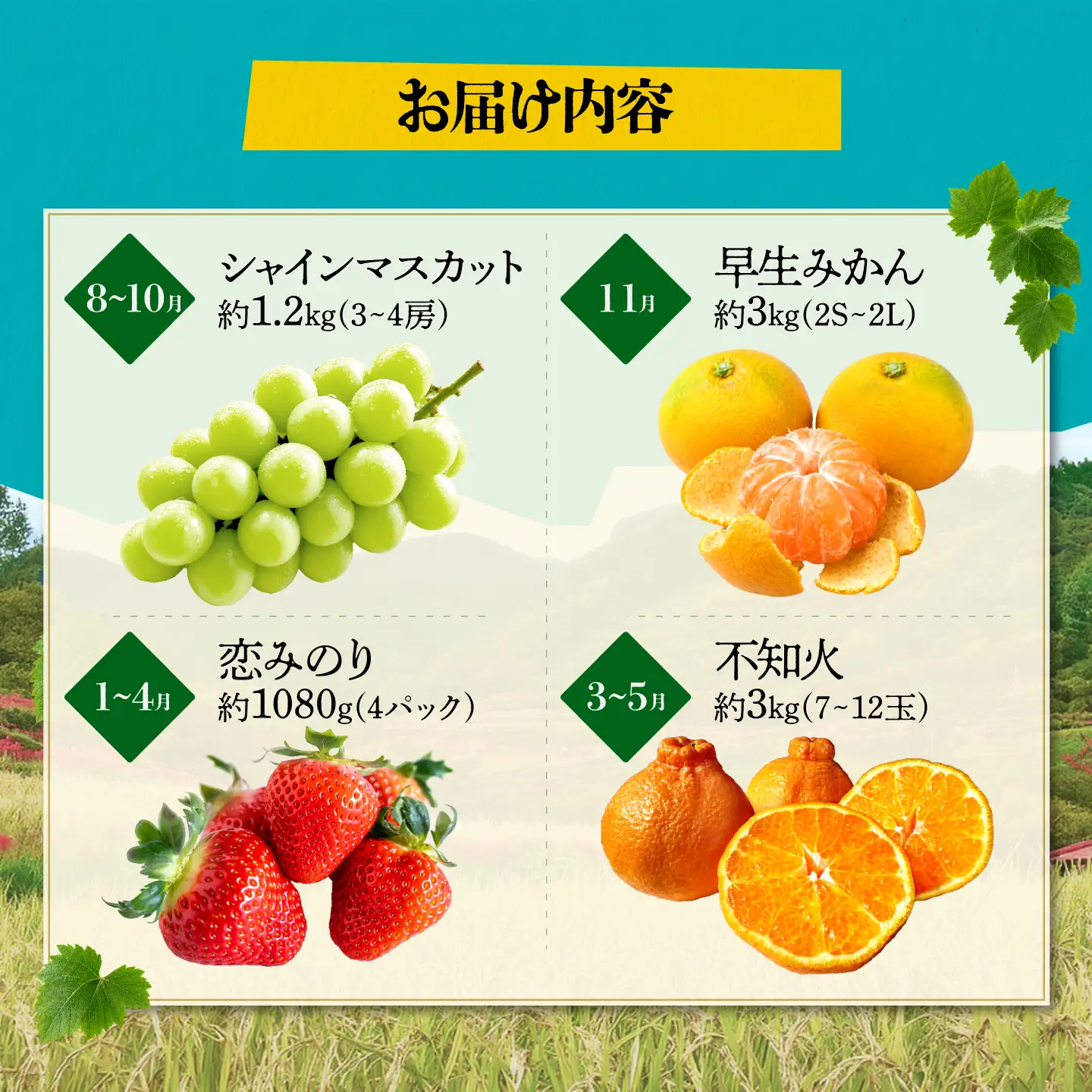 【先行予約】【4回定期便】 フルーツの名産地 山鹿から直送する旬のフルーツ シャインマスカット 早生 みかん いちご 恋みのり 不知火 [ZZZ007]