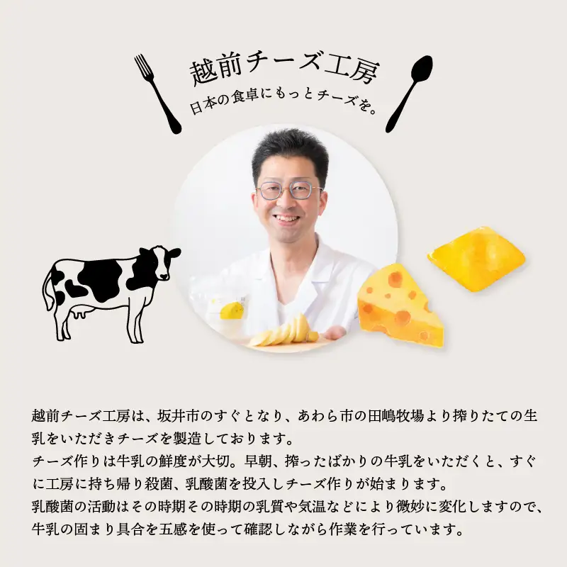 カチョカバロチーズ 2個詰め合わせ (プレーン) チーズ 発酵食品 熟成 [A-11904]