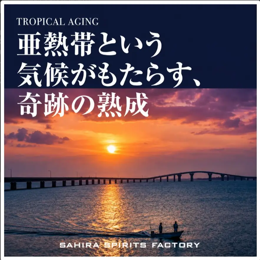宮古島生まれのラム酒「ANGE（アンジュ） GOLDRUM 2026」（DT05）