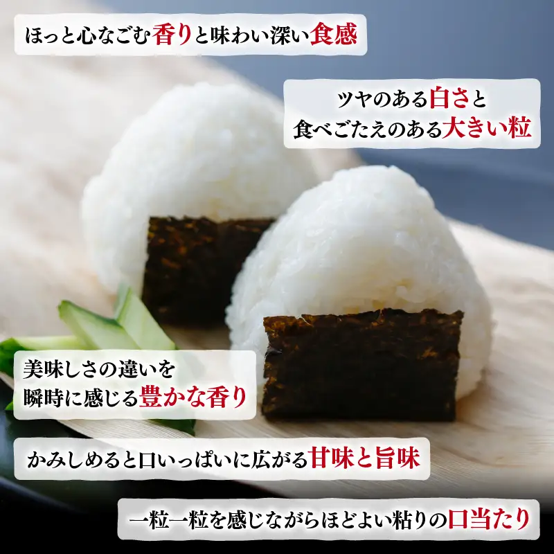 【令和8年産】新米 定期便 京都府産米 京式部 10kg 3回定期便 ブランド米