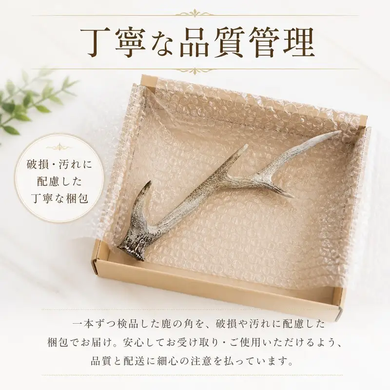 鹿の角 1本 インテリア 鹿角 ジビエ 【 鹿の角 】
