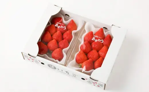 福岡県産 あまおう 合計約1,080g 約270g×4パック 【2027年2月下旬～3月下旬迄発送】