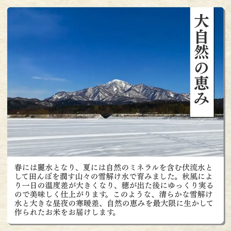 令和8年産 食味鑑定士厳選 新潟県産こしひかり 無洗米 3kg 上越市 米 コメ コシヒカリ ファインリョーコク