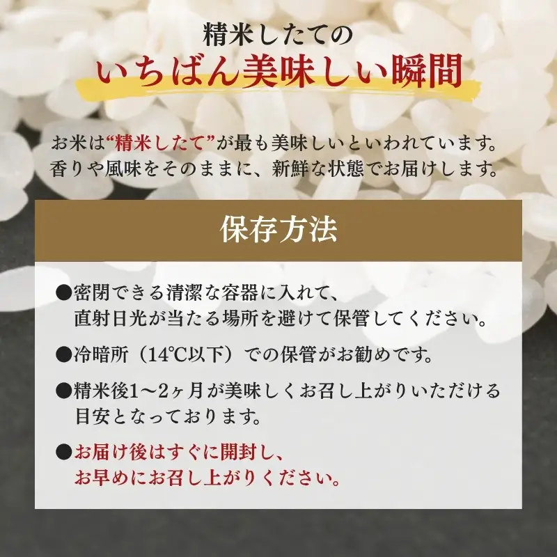 【6か月定期便/12月下旬より配送】新之助 10kg 上越産 令和8年産