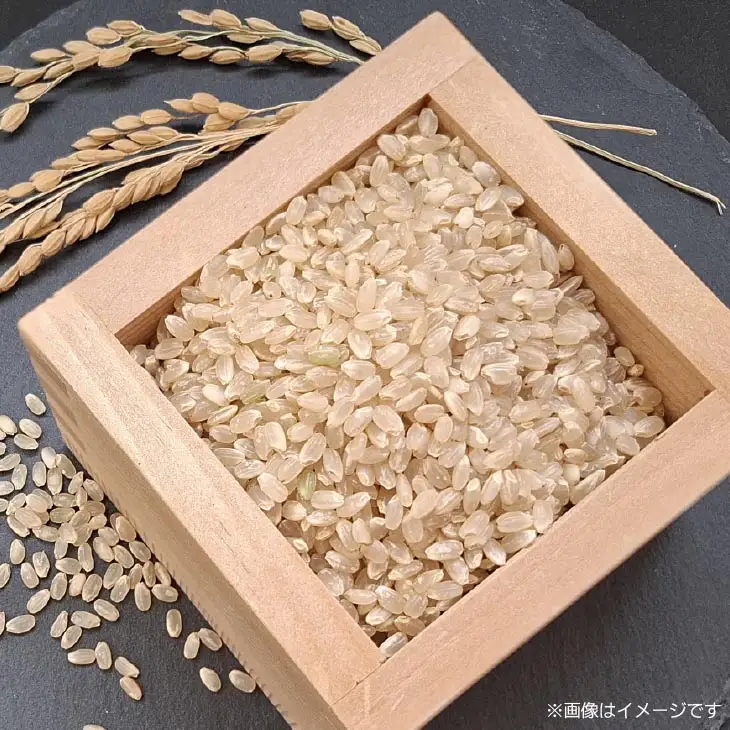 【定期便】令和8年産米　淡路島産コシヒカリ　玄米10kg《9回コース》