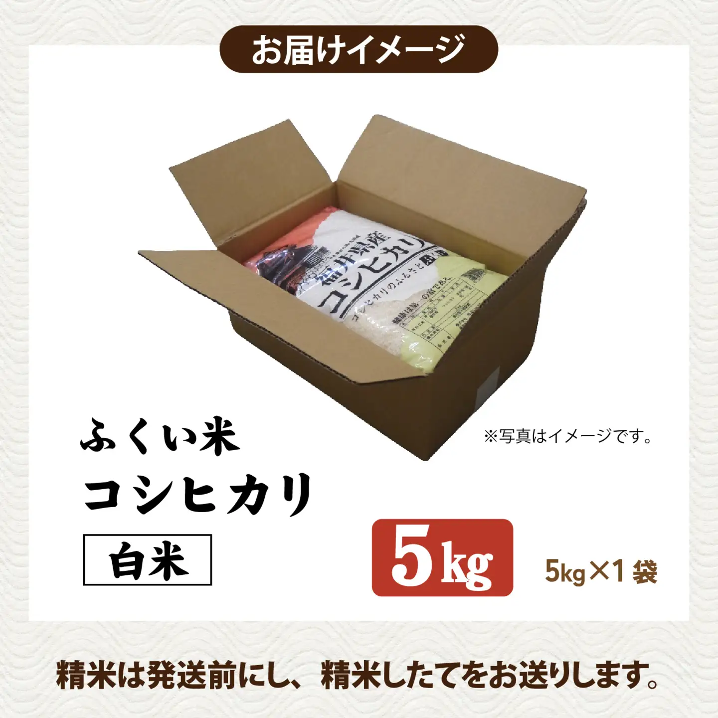 【ふくい米】令和8年産  福井市産コシヒカリ5kg  [A-168014] | こしひかり