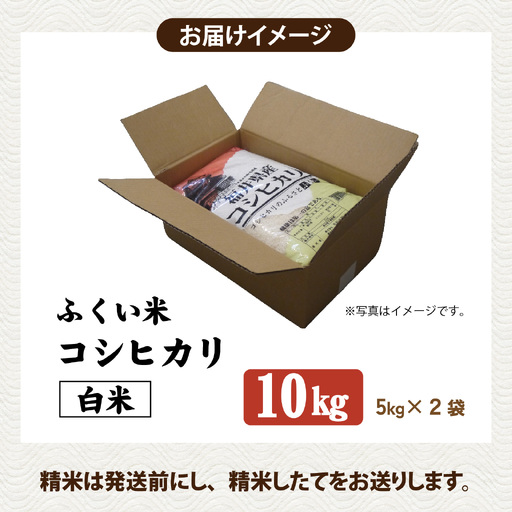 先行予約】【ふくい米】令和8年産 福井市産コシヒカリ10kg 「2026年10