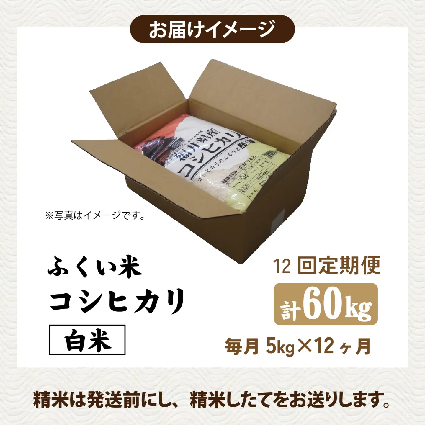 《定期便12ヶ月連続お届け》【ふくい米】令和8年産  福井市産コシヒカリ5kg [K-168016] | こしひかり