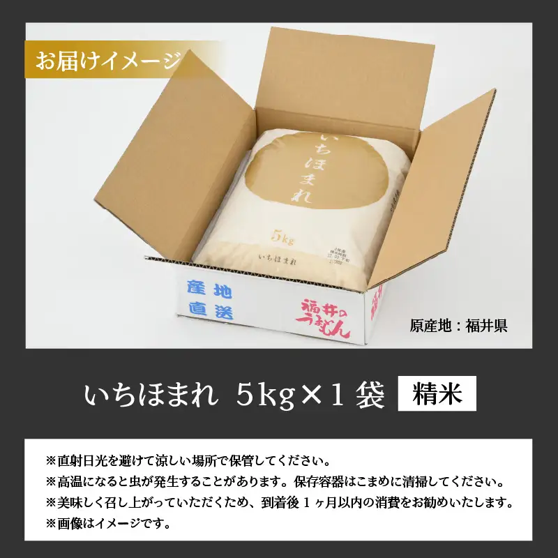 いちほまれ 5kg 精米 いちほまれ
