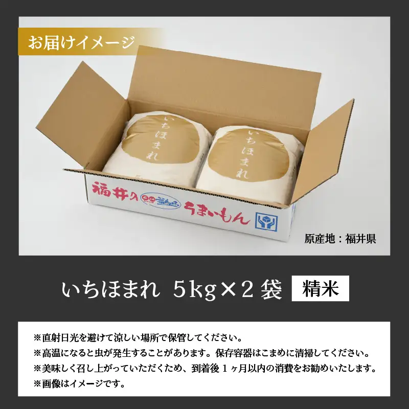 いちほまれ 10kg 精米 いちほまれ