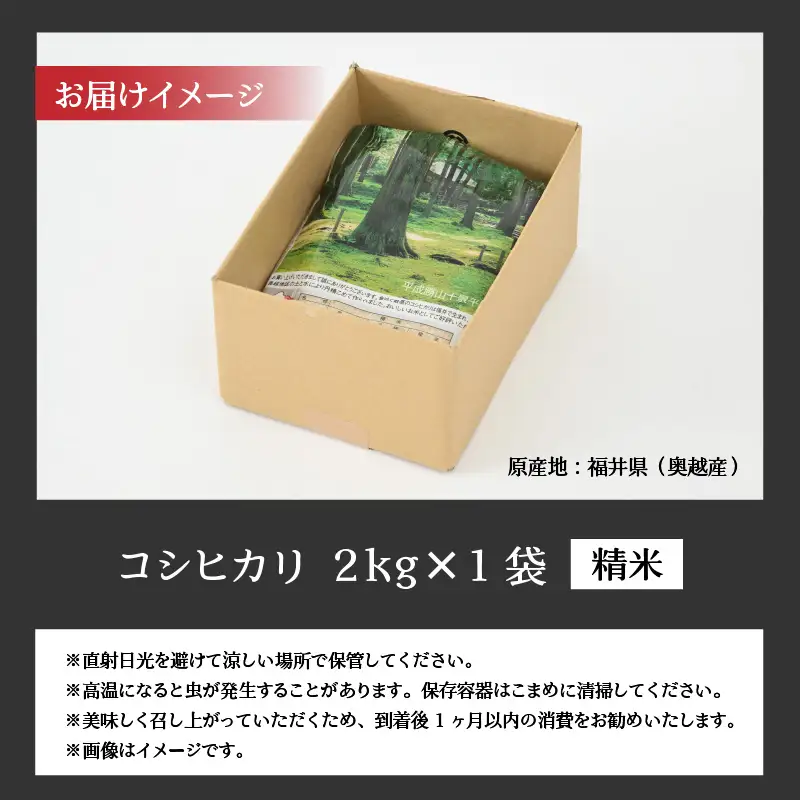 コシヒカリ 2kg 精米 コシヒカリ