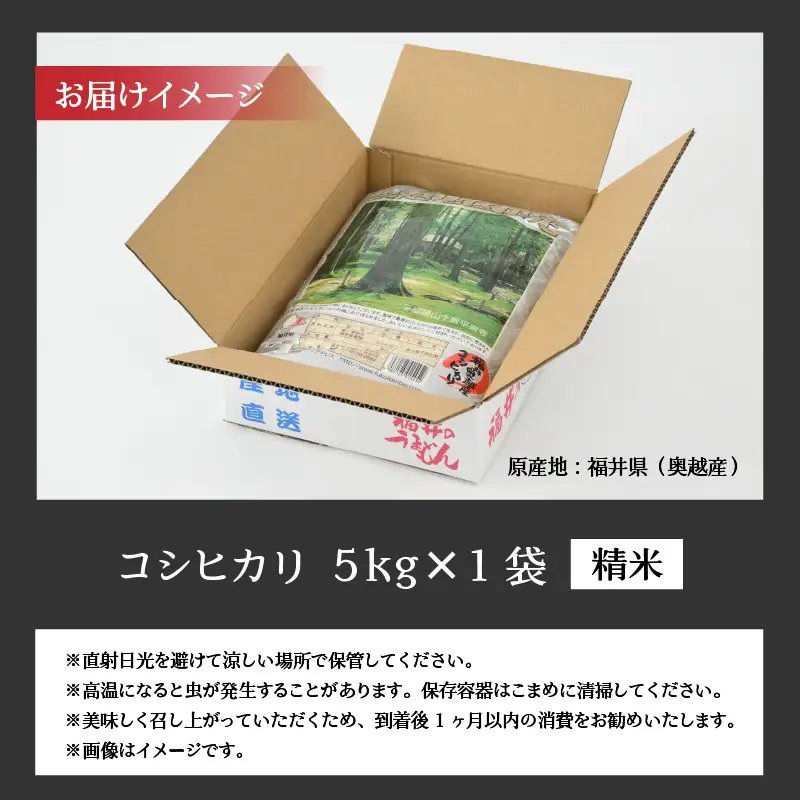 コシヒカリ 5kg 精米 コシヒカリ