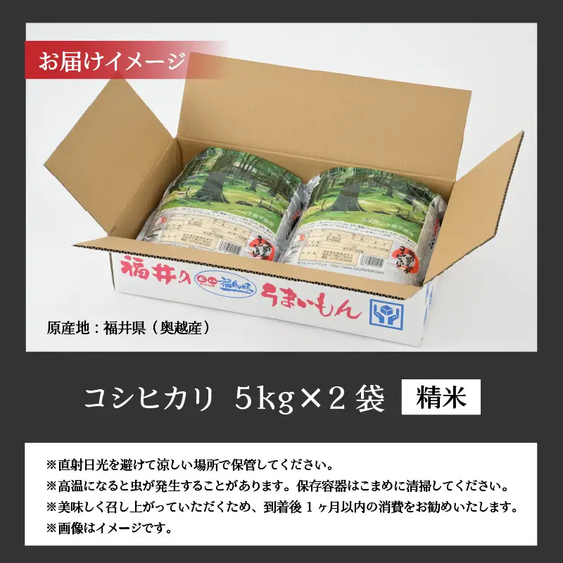 コシヒカリ 10kg 精米 コシヒカリ