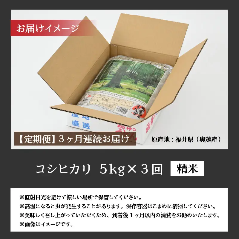 コシヒカリ 15kg 精米 定期便 コシヒカリ