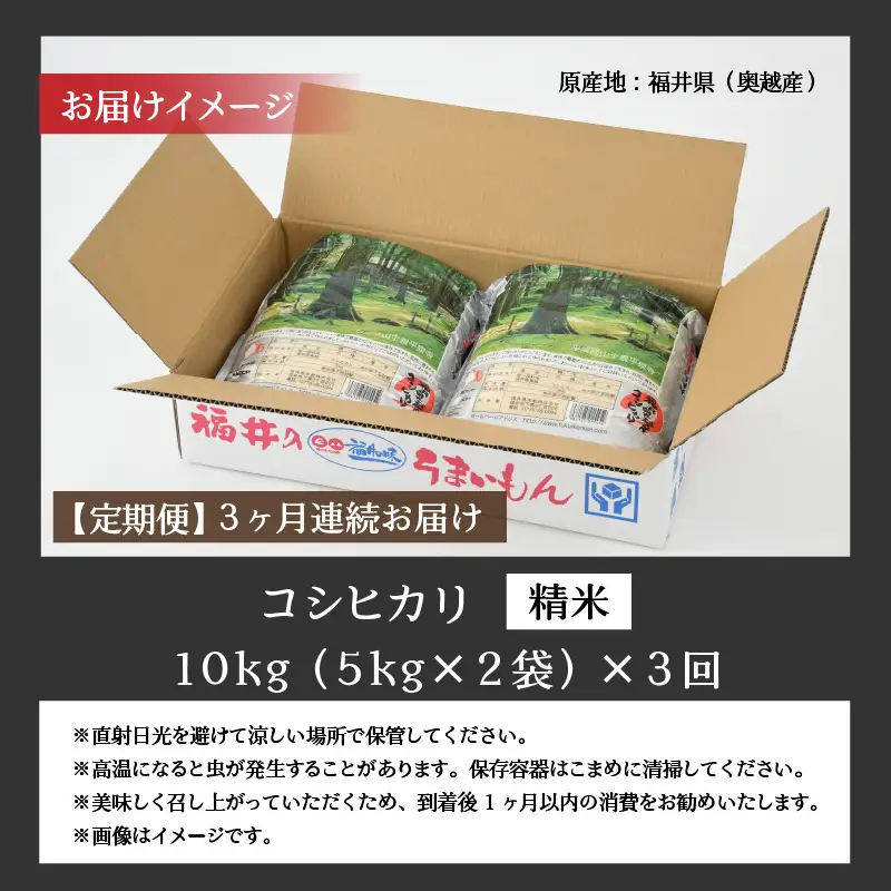 コシヒカリ 30kg 精米 定期便 コシヒカリ