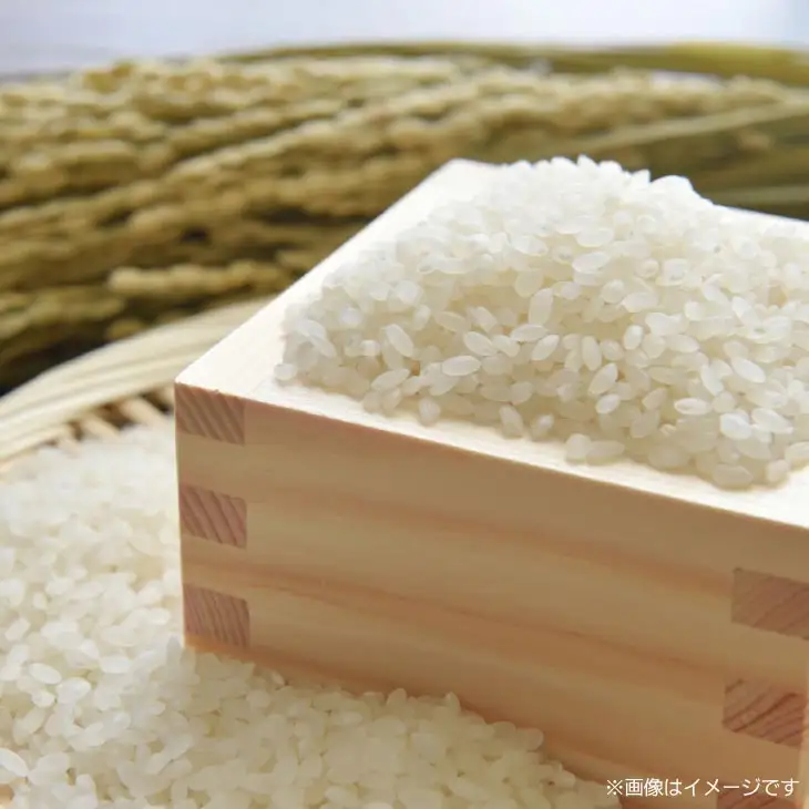 令和8年産米　淡路島産コシヒカリ　白米20㎏