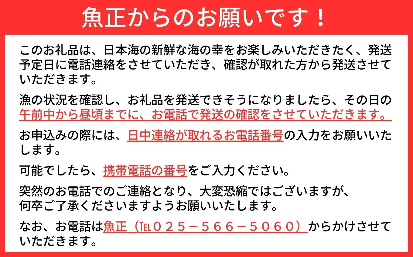 〈期間限定〉越後 本ズワイガニ 特大 1杯 1kg超え 姿 糸魚川産 浜茹で 鮮度が命！茹でたて直送 ギフトにも おススメ!! ずわいがに かに カニ 蟹 魚正 国産 日本海 新潟県