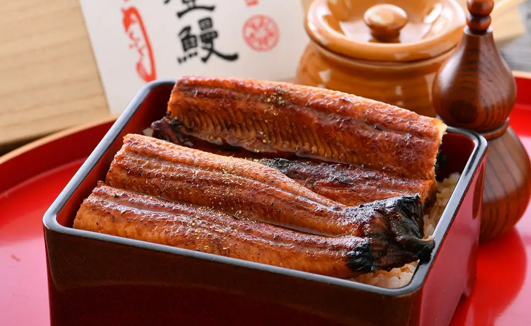 能登【 うなぎの蒲焼き 】 うなぎの蒲焼き 1尾 (150g以上)