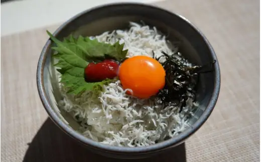 白崎満喫コース （サイクリング・クルーズ・食事券セット） 1名様 / クルーズ 乗船券 チケット ふるさと納税 人気 おすすめ  券  体験 由良町 白崎海岸 和歌山 旅行 しらす サイクリング 食事券  ツーリング  【ksnw002A】