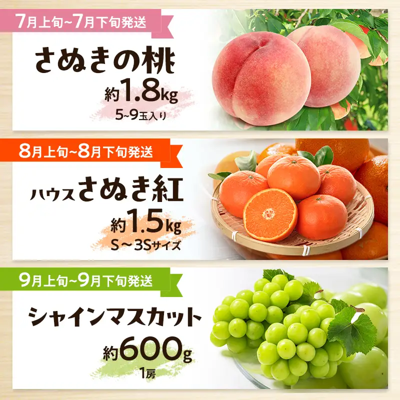 フルーツ 定期便 いちご メロン 桃 フルーツ【全12回 香川県産】 【46312860】
