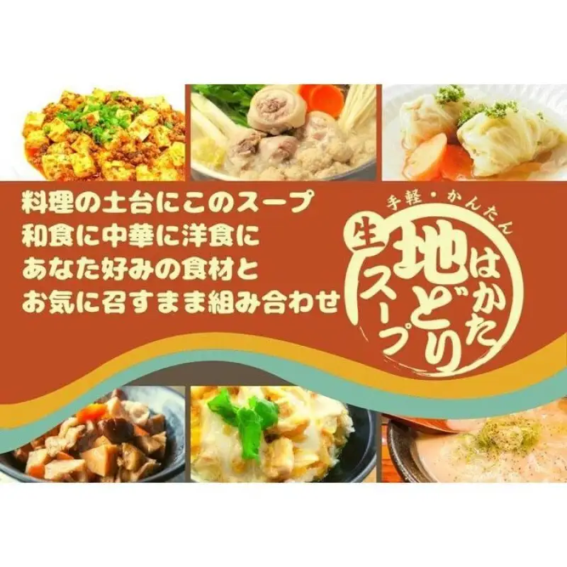 はかた地どりスープセット 500g×12パック