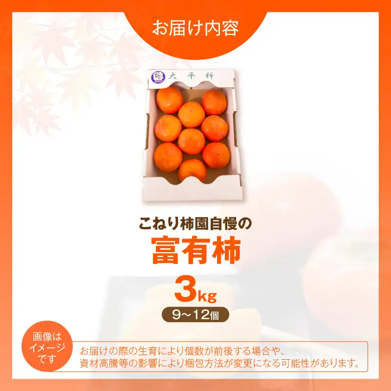 【先行受付】 富有柿 3kg こねり柿園自慢の富有柿 _KNR0508
