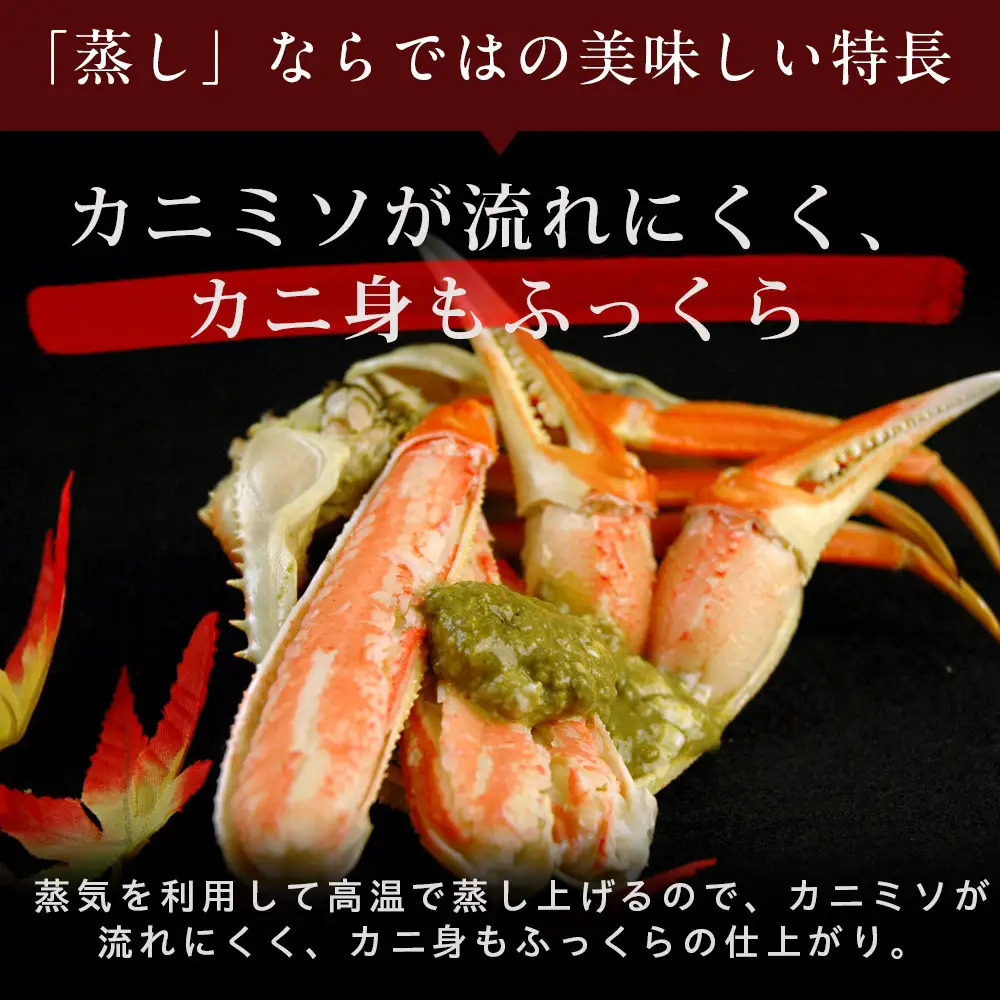 タグ付き 蒸し松葉蟹×1枚（500g前後）【鳥取県 境港市】