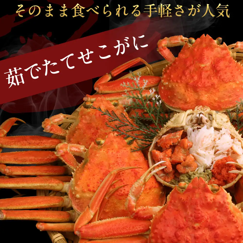 【11月中旬以降発送】訳あり 浜茹でせいこ蟹×5枚（750g前後）【鳥取県 境港市】