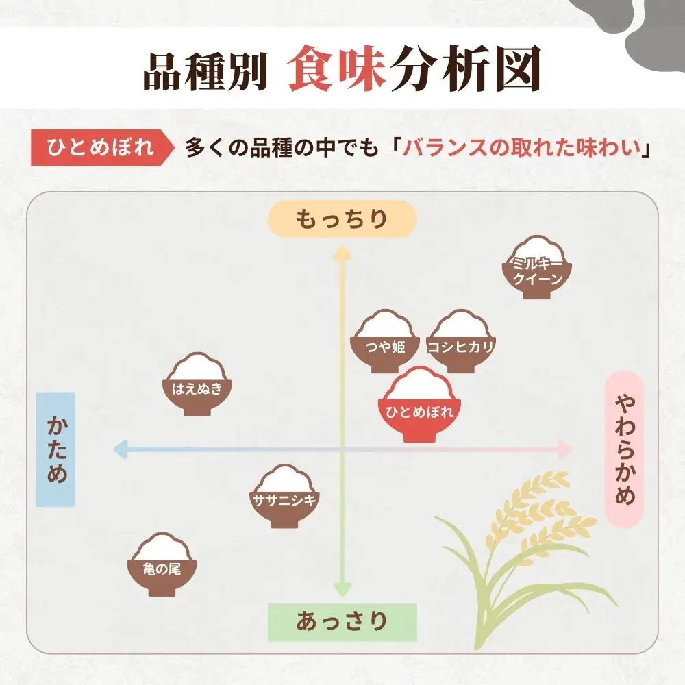 【先行予約】令和8年産 宮城県涌谷町産 ひとめぼれ 10kg＜玄米＞※2026年11月上旬以降に順次発送予定【saito004】