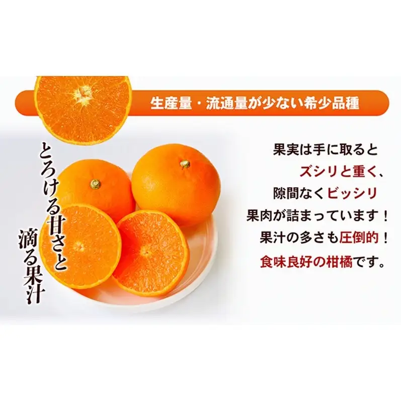 【数量限定 今季最終受付】愛媛県産せとか（露地）約5kg [50R0835]【高島屋選定品】秀M～２Lサイズ 2月中旬頃～順次発送＜旬 ギフト 高級 甘い みかん フルーツ＞[No.53030333]
