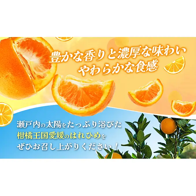 【数量限定 先行予約】愛媛県産 はれひめ 約5kg[50R0813] 【高島屋選定品】M～2L サイズ＜ギフト 甘味 濃厚 みかん フルーツ＞[No.53030336]