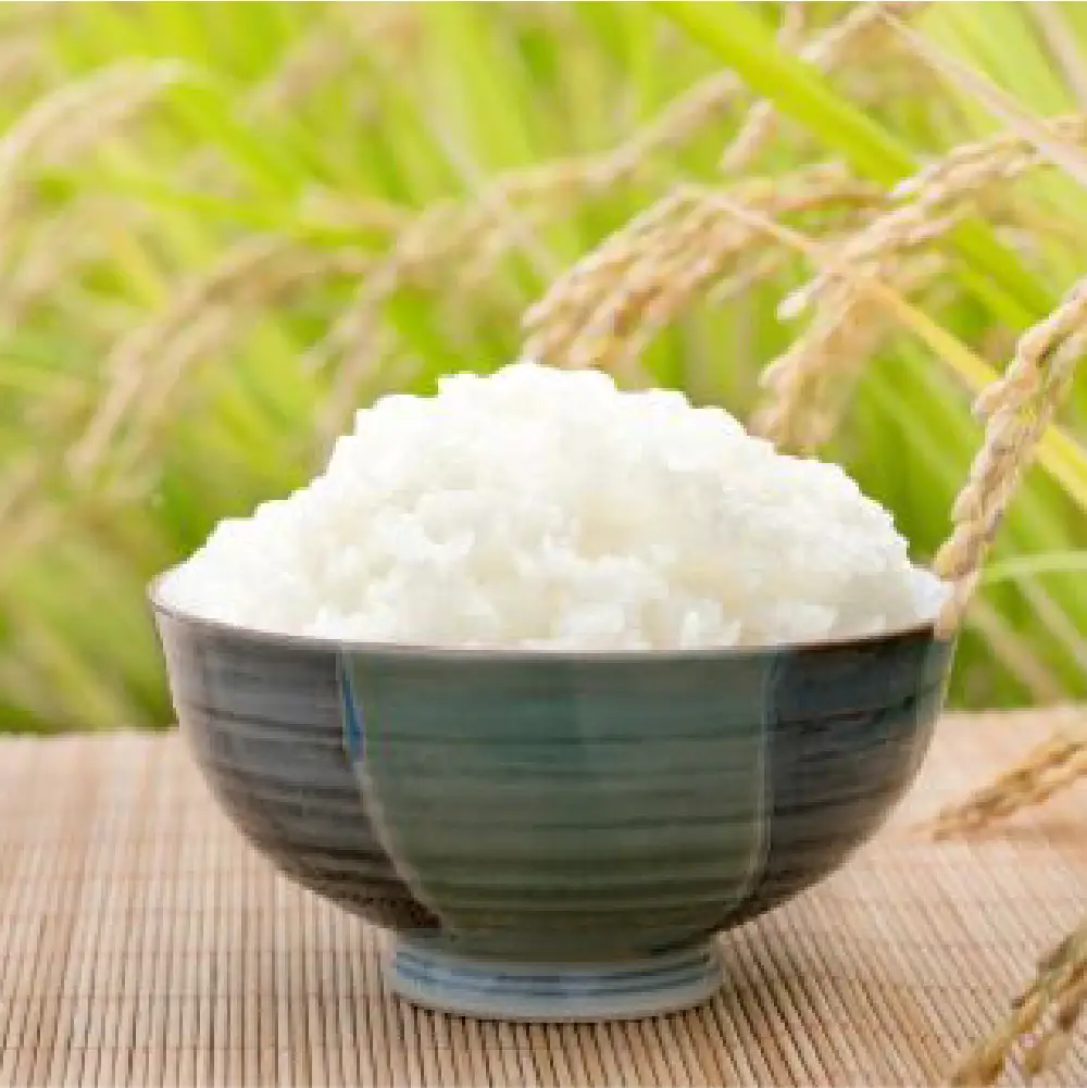 特別栽培米 あいがも農法でつくったひとめぼれ10kg×3回 ひとめぼれ