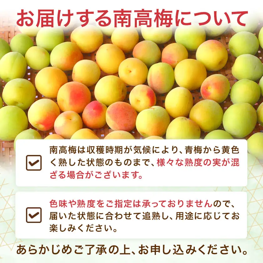 南高梅 約3kg マルツネ農園