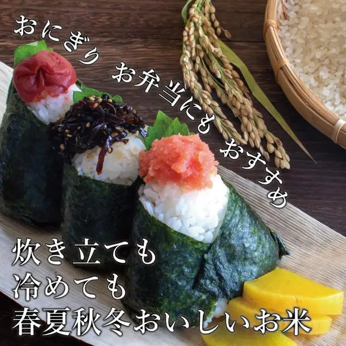 新米 令和8年産 元気つくし 5kg ( 1袋 ) 米 福岡県