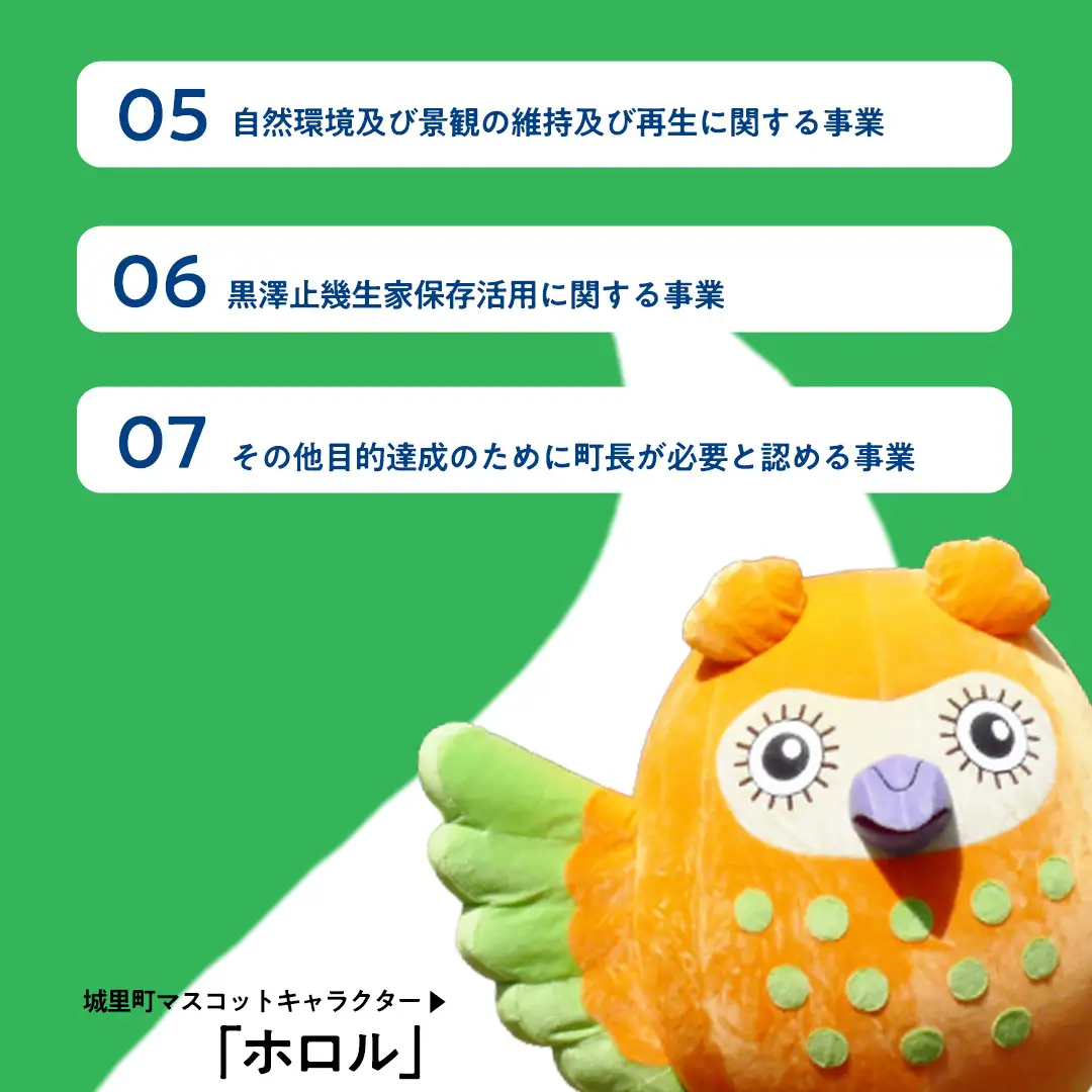 【 返礼品なし 】 茨城県 城里町 ふるさと応援寄附金 ( 100,000円 ) [ZZ005]