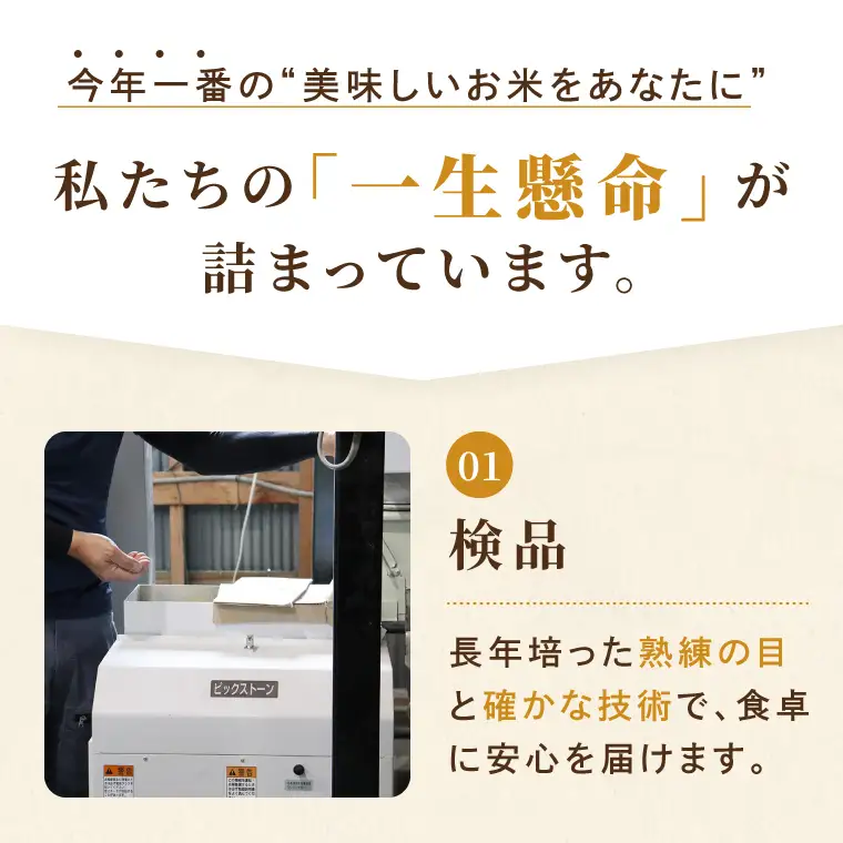米 にじのきらめき 精米 15kg 令和8年産 茨城県産 お米 こめ コメ ごはん 白米 ニジノキラメキ 茨城県産米 単一米 単一原料米 安心 安全 送料無料 国産 人気 数量限定（85-R8i217_11）