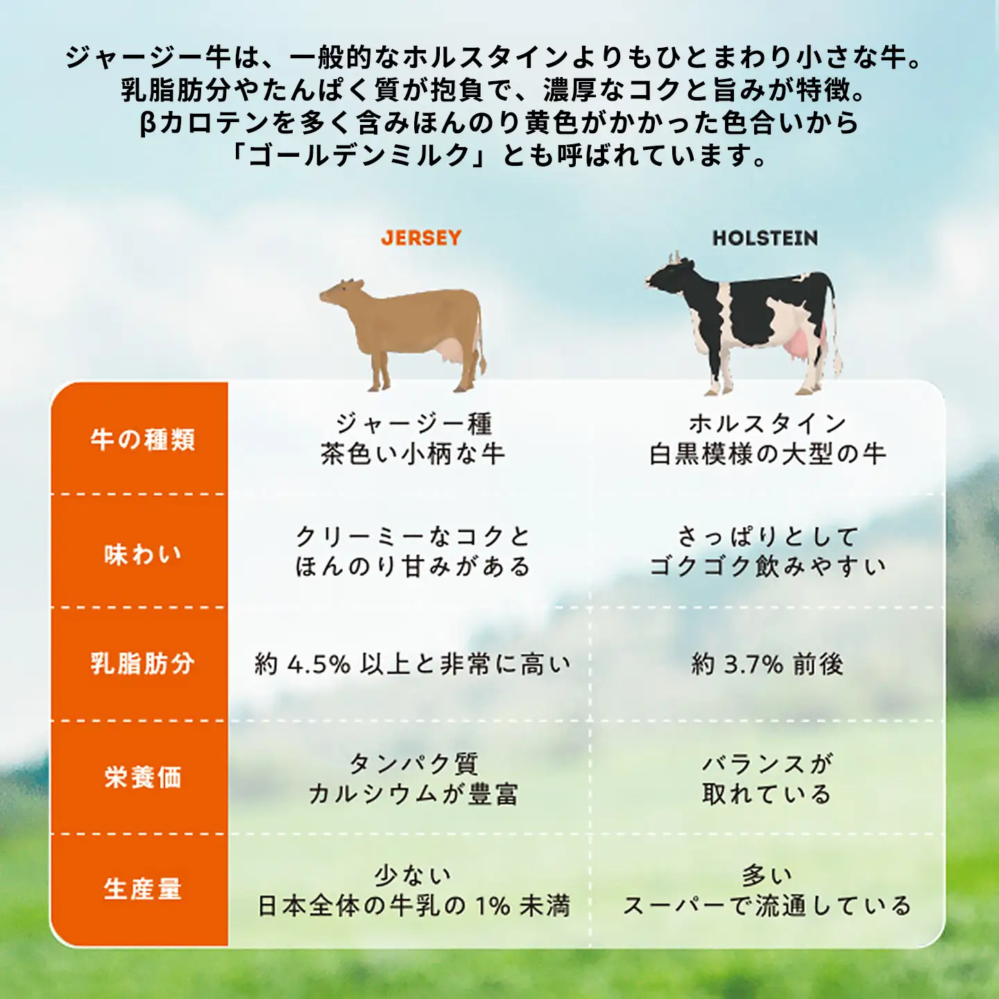 【阿蘇小国ジャージーアイス研究所】阿蘇小国ジャージーアイス 王様ミルク 100ml 8個 国産 熊本県産 小国ジャージー牛乳 ジャージーミルク ゴールデンミルク アイスクリーム 牧場しぼり お取り寄せ ご褒美 贈答 ギフト 記念日 ご自宅用 チルド 冷凍配送