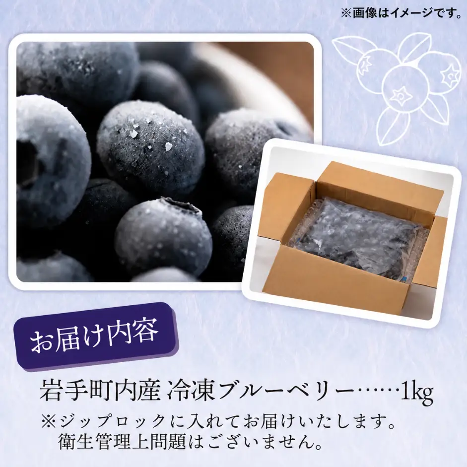 ブルーベリー 冷凍 訳あり 1kg フルーツ ベリー 果物 先行予約 2027年発送