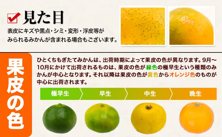 訳あり みかん 小玉 ひとくちもぎたてみかん 約 10kg