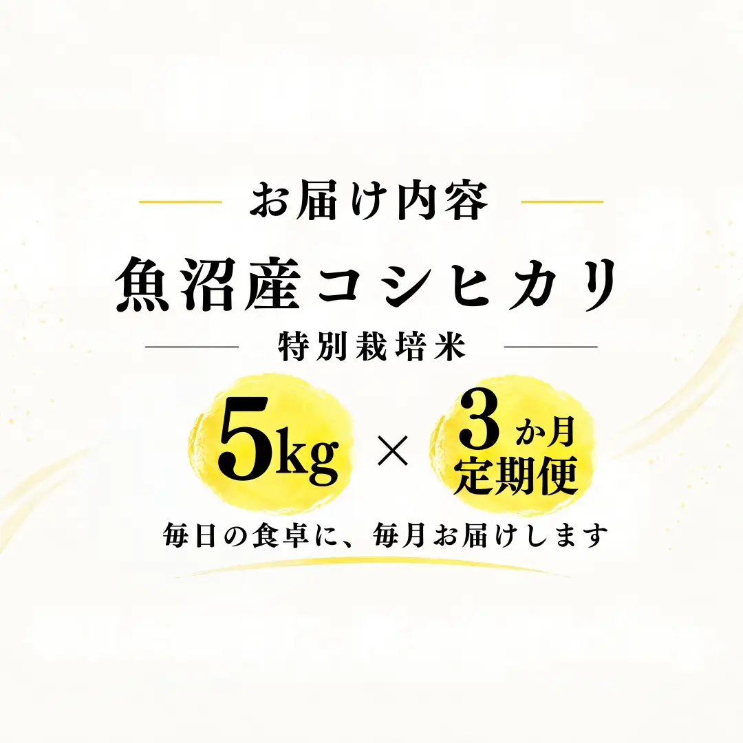 【3ヶ月定期便】【令和8年産 コシヒカリ】魚沼産コシヒカリ 特別栽培米 5kg(5kg×1袋) | 新潟県産コシヒカリ 魚沼産こしひかり 米 お米 こしひかり 白米 精米 ブランド米 津南町 米処やえざわ