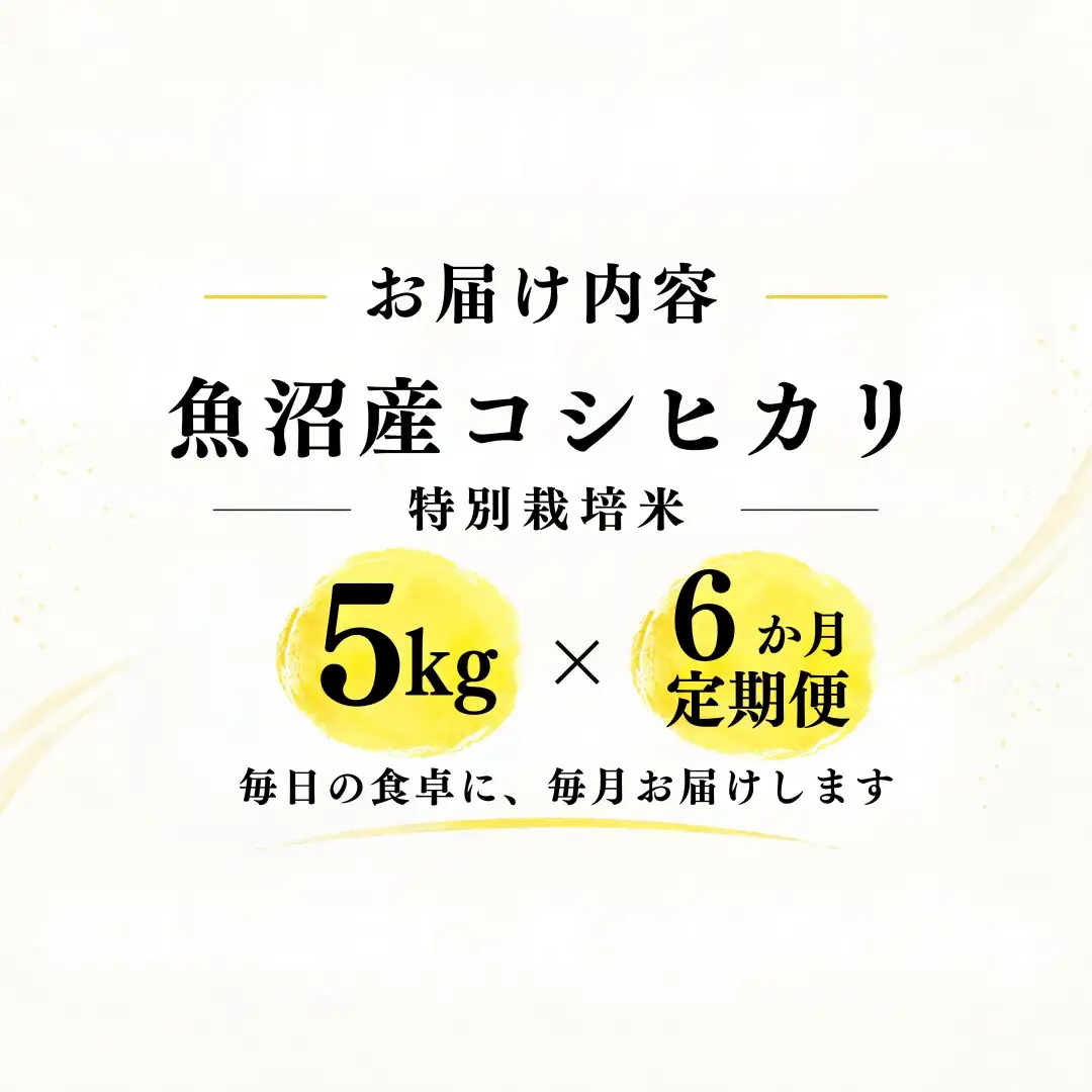 【6ヶ月定期便】【令和8年産 コシヒカリ】魚沼産コシヒカリ 特別栽培米 5kg(5kg×1袋) | 新潟県産コシヒカリ 魚沼産こしひかり 米 お米 こしひかり 白米 精米 ブランド米 津南町 米処やえざわ