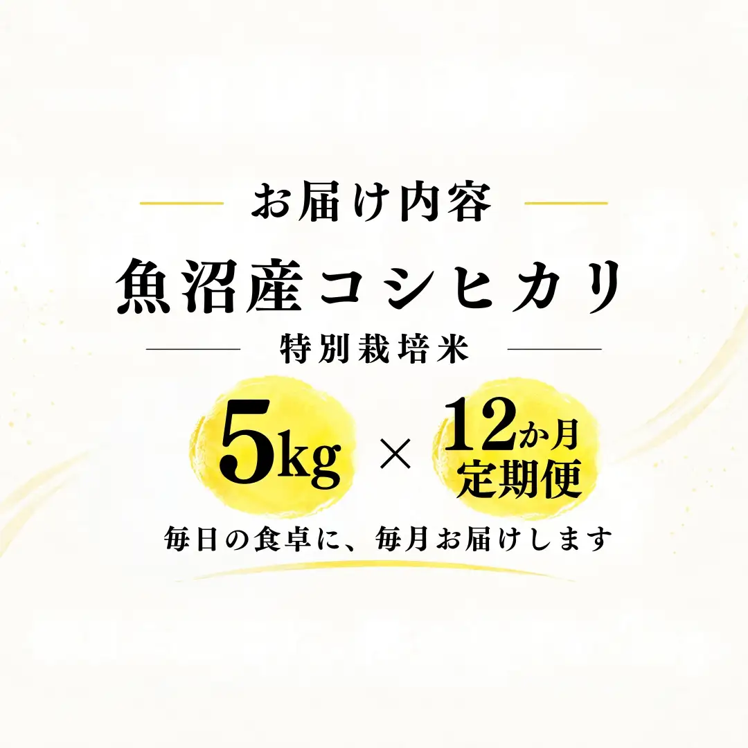 【12ヶ月定期便】【令和8年産 コシヒカリ】魚沼産コシヒカリ 特別栽培米 5kg(5kg×1袋) | 新潟県産コシヒカリ 魚沼産こしひかり 米 お米 こしひかり 白米 精米 ブランド米 津南町 米処やえざわ