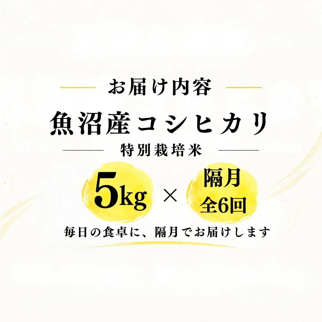 【隔月全6回 定期便】【令和8年産 コシヒカリ】魚沼産コシヒカリ 特別栽培米 5kg(5kg×1袋) | 新潟県産コシヒカリ 魚沼産こしひかり 米 お米 こしひかり 白米 精米 ブランド米 津南町 米処やえざわ