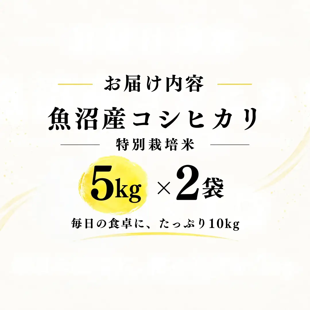 【令和8年産 コシヒカリ】魚沼産コシヒカリ 特別栽培米 10kg(5kg×2袋) | 新潟県産コシヒカリ 魚沼産こしひかり 米 お米 こしひかり 白米 精米 ブランド米 津南町 米処やえざわ